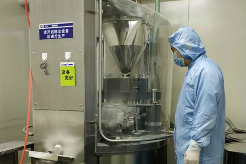 金花制藥廠順利完成GMP符合性自檢工作，全面承接總公司核心業(yè)務(wù)